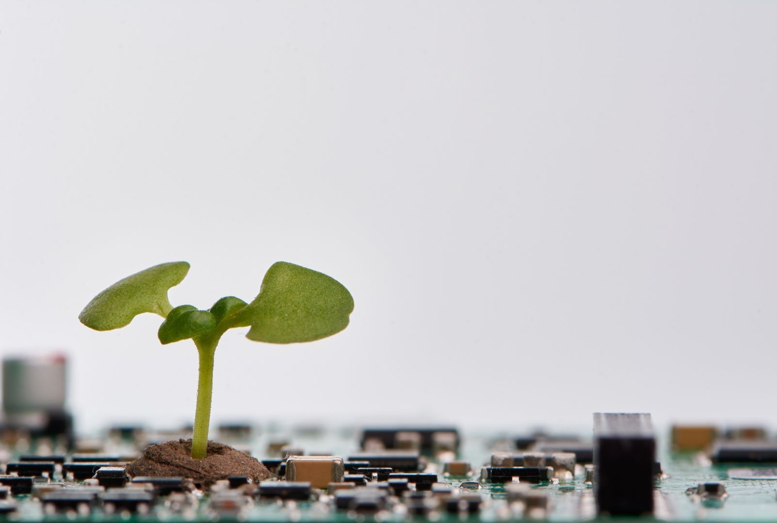 The environmental cost of AI: How we’re approaching sustainable AI use at The PSC 