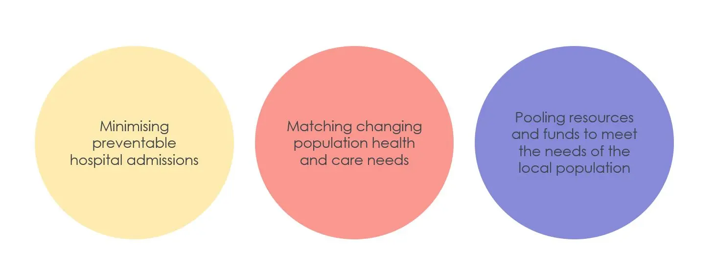 Figure Two: key goals for ICSs 