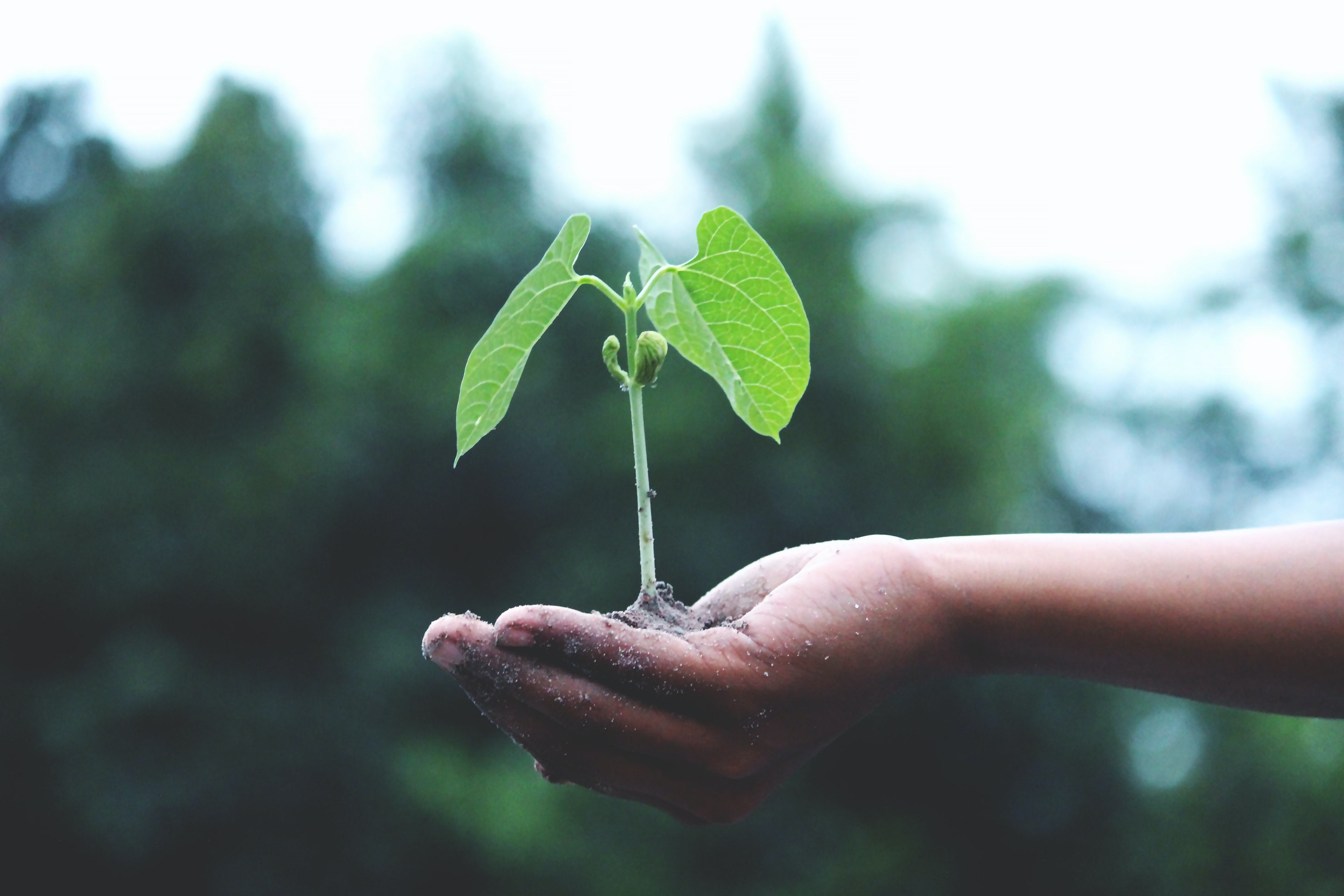What a new Labour government means for sustainability and the net zero agenda in the UK public sector